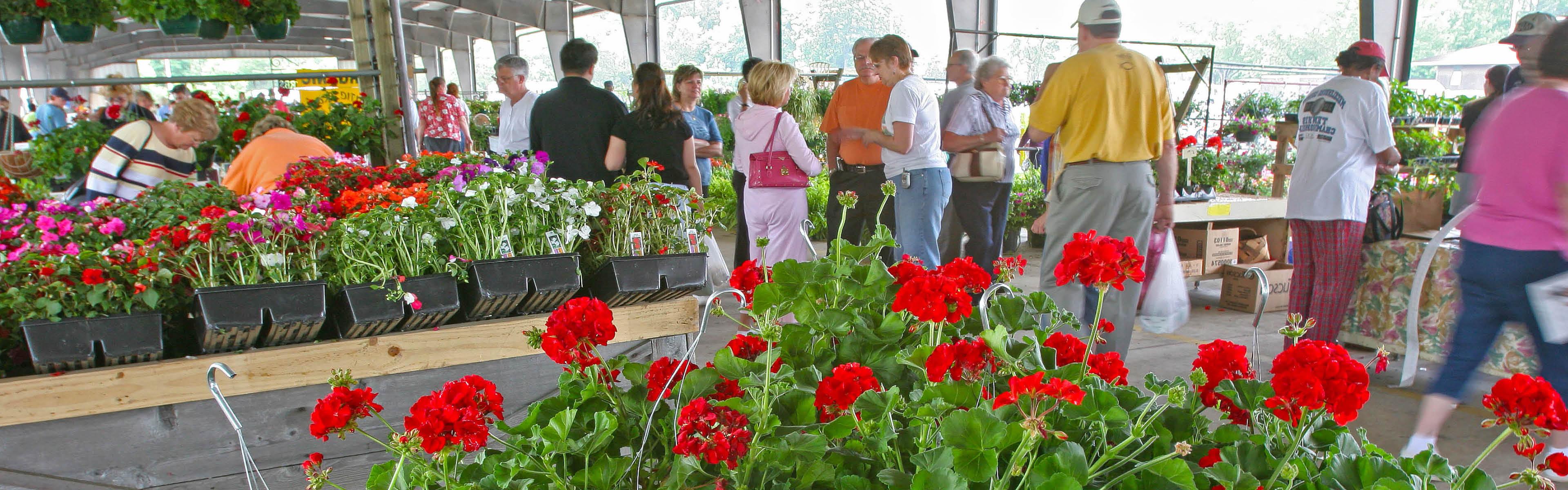 Charlotte Regional Farmers Market NC Agriculture